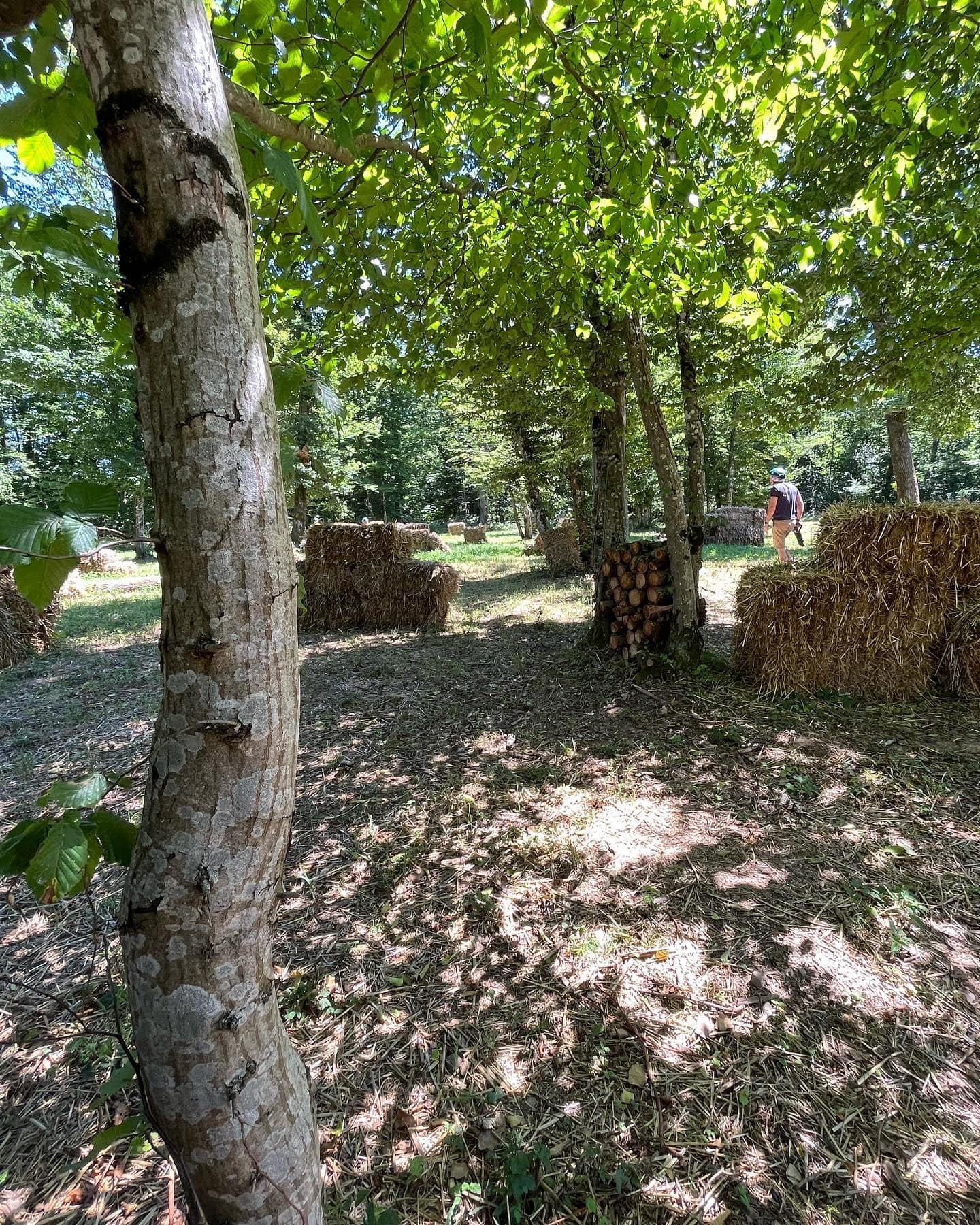 Laser game plein air alsace