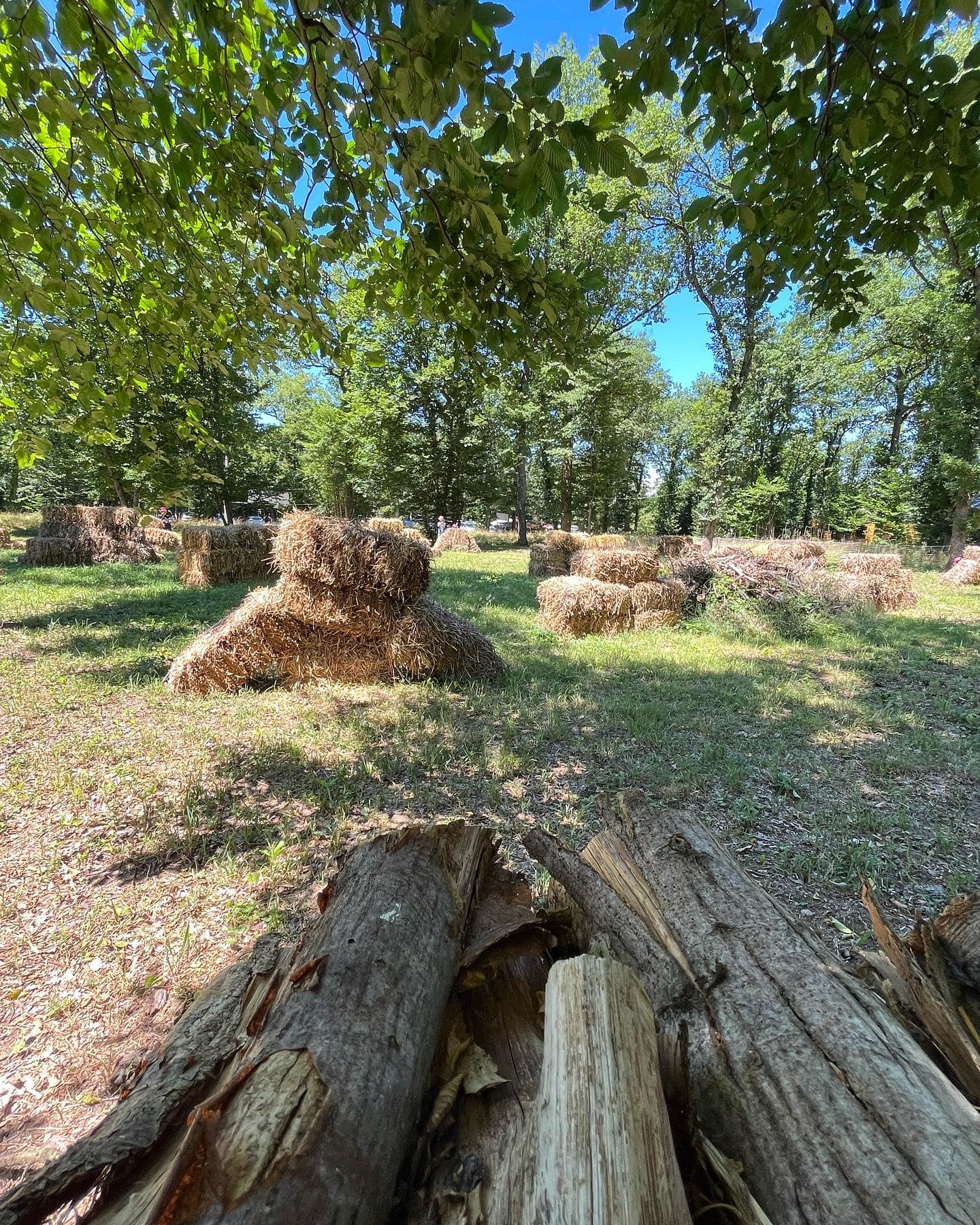 Laser game plein air haut-rhin